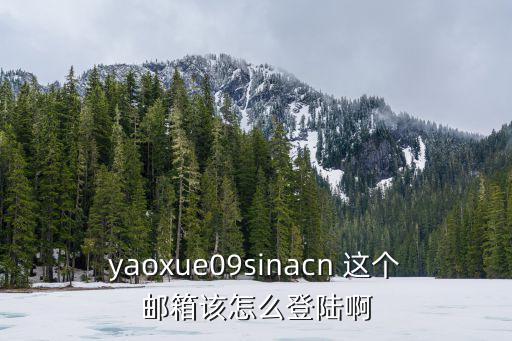 yaoxue09sinacn 這個郵箱該怎么登陸啊