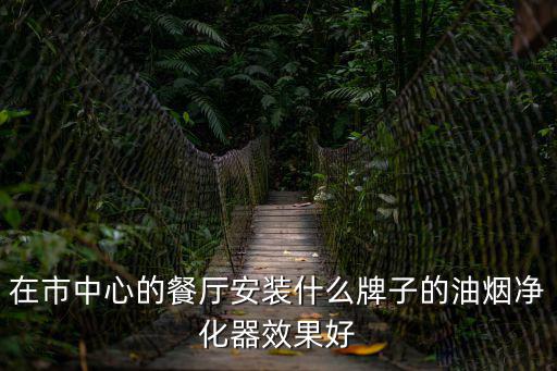 在市中心的餐廳安裝什么牌子的油煙凈化器效果好