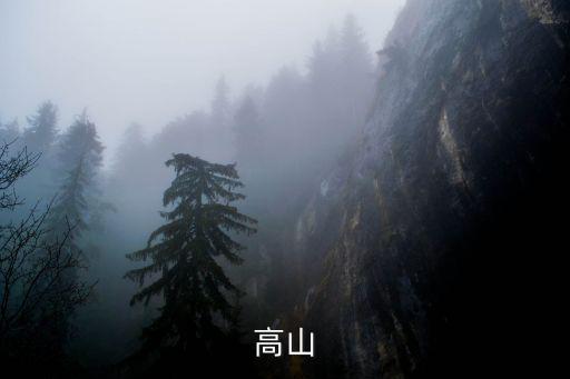 高山