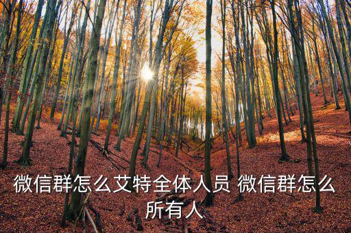 微信群怎么艾特全體人員 微信群怎么所有人