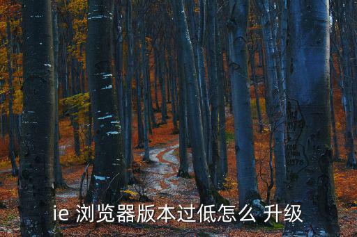 ie 瀏覽器版本過低怎么 升級
