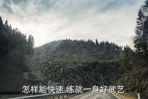 怎樣能快速 練就一身好武藝