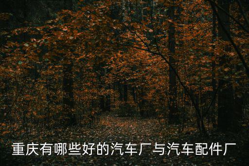 重慶有哪些好的汽車廠與汽車配件廠