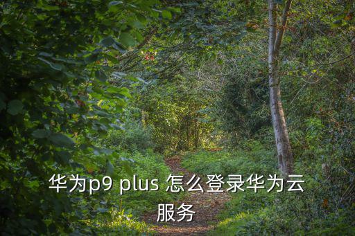 華為p9 plus 怎么登錄華為云服務