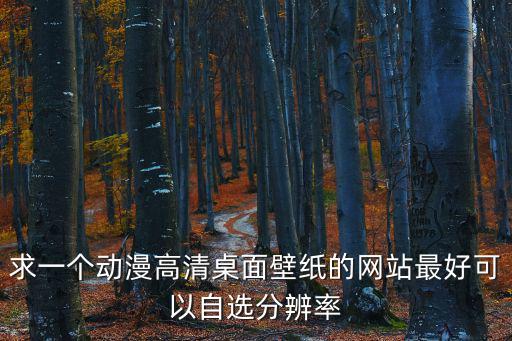 求一個(gè)動(dòng)漫高清桌面壁紙的網(wǎng)站最好可以自選分辨率