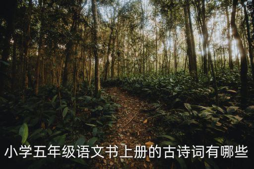 小學五年級語文書上冊的古詩詞有哪些