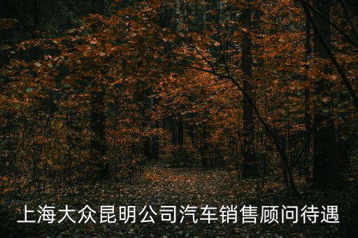 上海大眾昆明公司汽車銷售顧問待遇