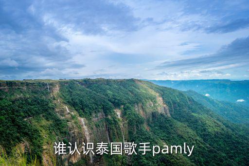 palmy，誰認識泰國歌手pamly