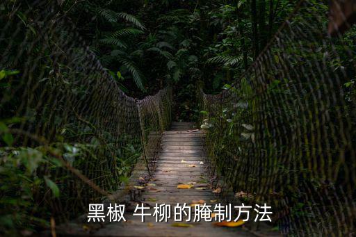  黑椒 牛柳的腌制方法