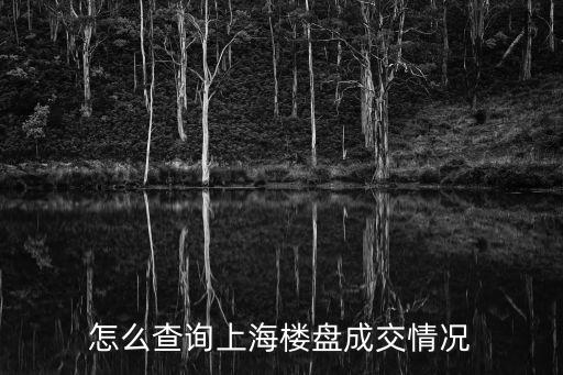 上海房價查詢網在線查詢，上海最新樓盤查詢網站哪個信息全面