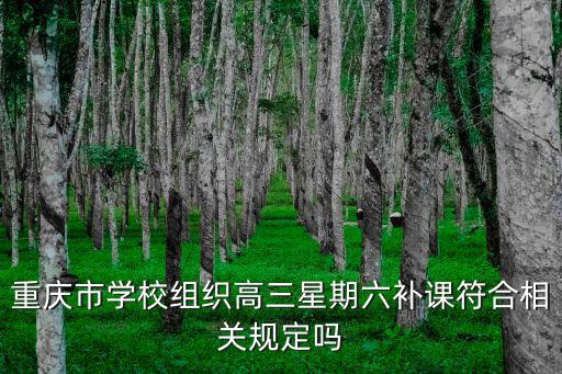 重慶市學(xué)校組織高三星期六補(bǔ)課符合相關(guān)規(guī)定嗎