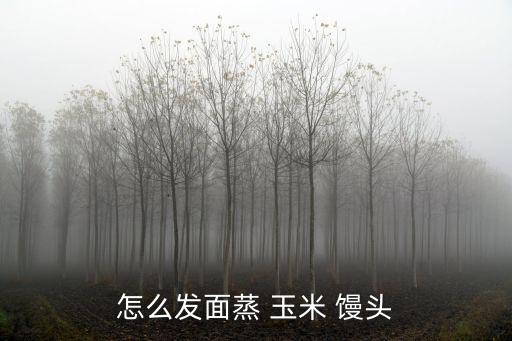 怎么發面蒸 玉米 饅頭