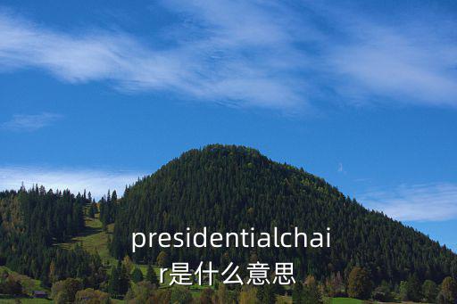  presidentialchair是什么意思