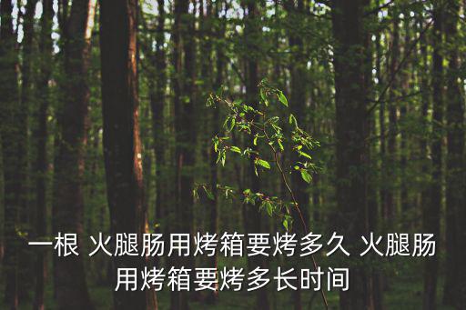 一根 火腿腸用烤箱要烤多久 火腿腸用烤箱要烤多長時間