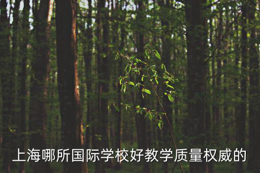 上海哪所國際學校好，打算讓孩子出國上海哪家國際學校比較好大家推薦下