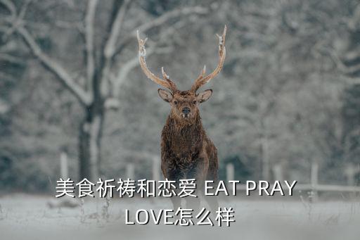 美食祈禱和戀愛 EAT PRAY LOVE怎么樣