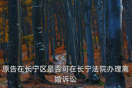 長寧區民事訴訟地址在哪里，原告在長寧區是否可在長寧法院辦理離婚訴訟