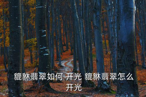 貔貅如何自己開光,這些東西值得你擁有