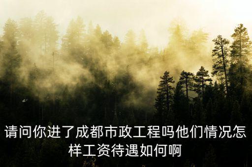 請問你進了成都市政工程嗎他們情況怎樣工資待遇如何啊
