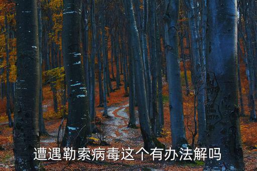 遭遇勒索病毒這個有辦法解嗎