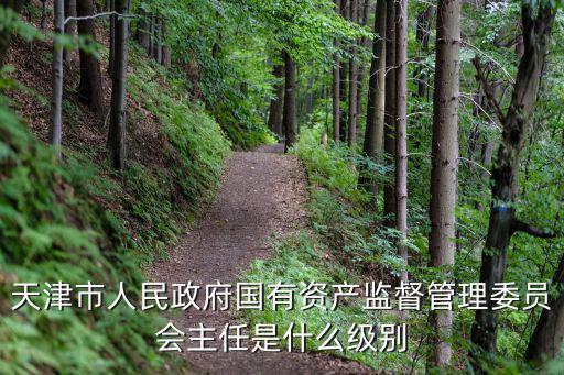 天津市人民政府國有資產監督管理委員會主任是什么級別