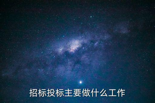 招標投標主要做什么工作