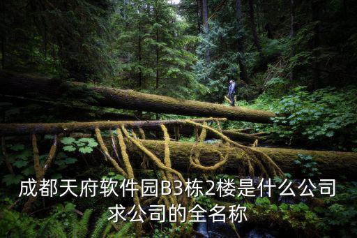 成都天府軟件園B3棟2樓是什么公司求公司的全名稱