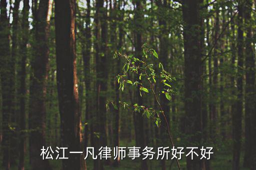 松江一凡律師事務(wù)所好不好