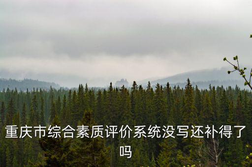 重慶市綜合素質評價系統沒寫還補得了嗎