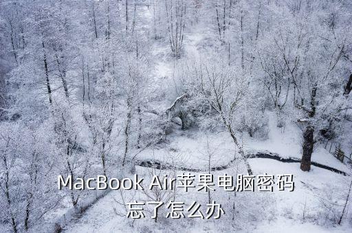 MacBook Air蘋(píng)果電腦密碼忘了怎么辦