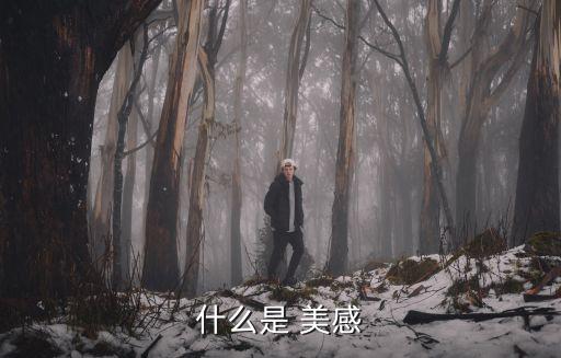什么是 美感