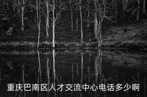 重慶巴南區(qū)人才交流中心電話多少啊