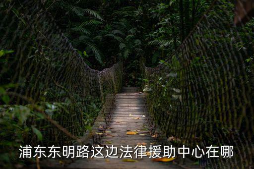 浦東東明路這邊法律援助中心在哪