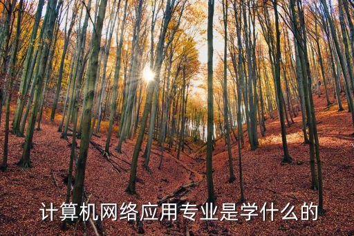 計(jì)算機(jī)網(wǎng)絡(luò)應(yīng)用,培養(yǎng)高級(jí)計(jì)算機(jī)應(yīng)用人才專(zhuān)業(yè)開(kāi)設(shè)八門(mén)課程