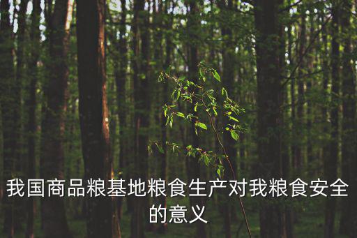 我國商品糧基地糧食生產對我糧食安全的意義