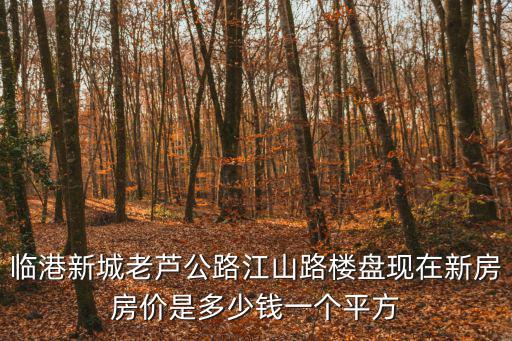 上海臨港新城新開盤樓盤定金多少，臨港新城老蘆公路江山路樓盤現在新房房價是多少錢一個平方