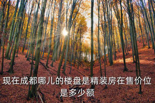 現在成都哪兒的樓盤是精裝房在售價位是多少額