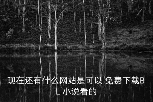 現在還有什么網站是可以 免費下載BL 小說看的