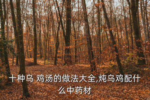 十種烏 雞湯的做法大全,燉烏雞配什么中藥材