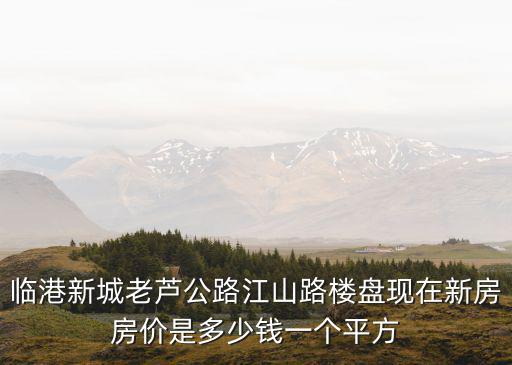 臨港新城老蘆公路江山路樓盤現(xiàn)在新房房價(jià)是多少錢一個(gè)平方