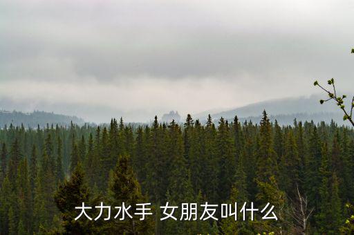 大力水手 女朋友叫什么