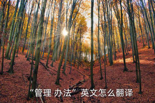 “管理 辦法”英文怎么翻譯