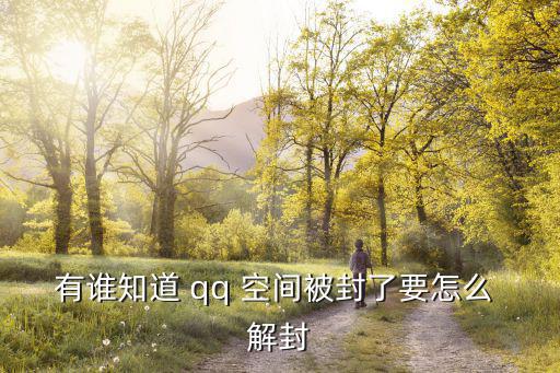 qq空間解封,如何進(jìn)入解封空間?