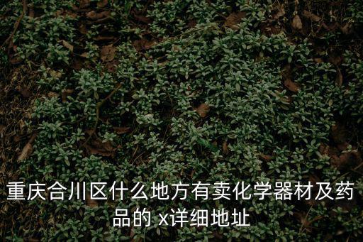 重慶合川區什么地方有賣化學器材及藥品的 x詳細地址