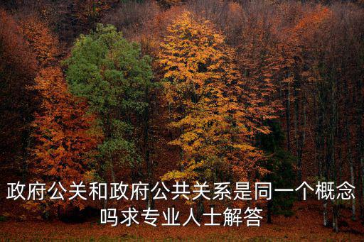 政府公關和政府公共關系是同一個概念嗎求專業人士解答