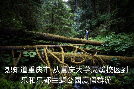 重慶市江津區虎溪苑，重慶江津雙福鎮有哪些住宅小區
