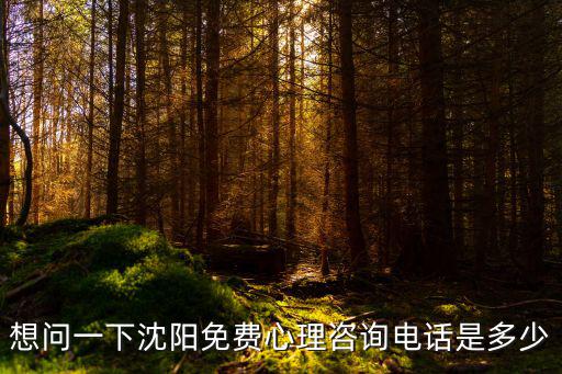 想問一下沈陽免費心理咨詢電話是多少