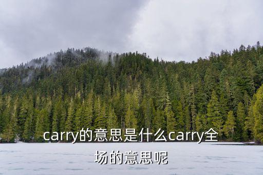 carry的意思是什么carry全場的意思呢