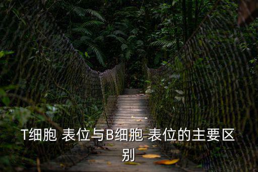 表位,抗原決定簇是特異抗原分子中的特殊化學基團