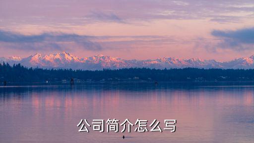 公司簡介怎么寫